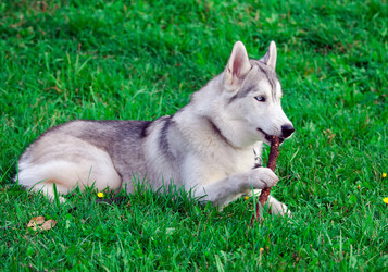 Similar image 311353