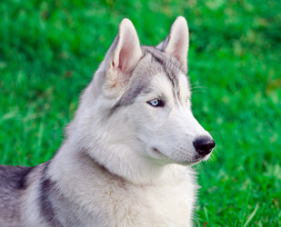 Similar image 311354