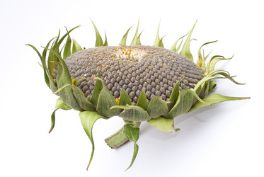 Similar image 311368