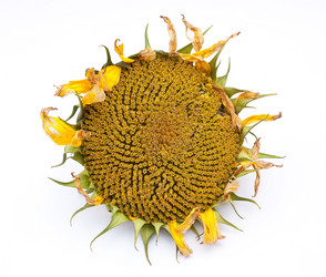 Similar image 311371