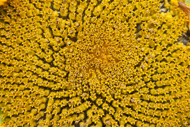 Similar image 311372