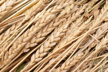 Similar image 311379