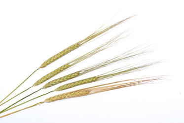 Similar image 311380