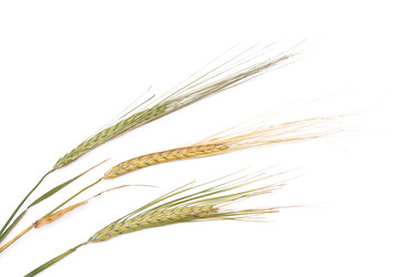 Similar image 311381