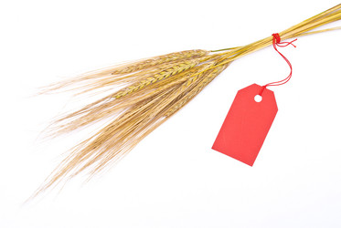 Similar image 311382