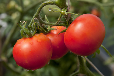 Similar image 311395