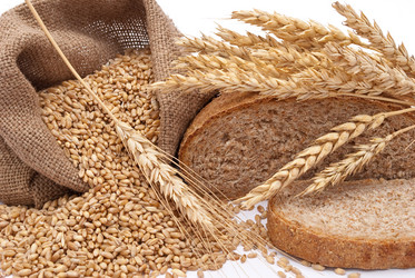 Similar image 311431