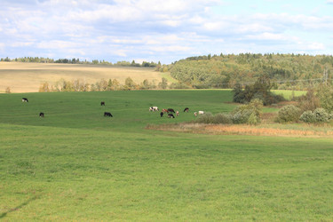 Similar image 311443