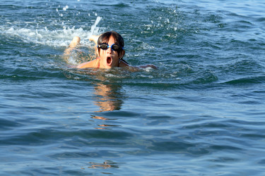 Similar image 311480