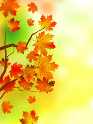 Similar image 311489