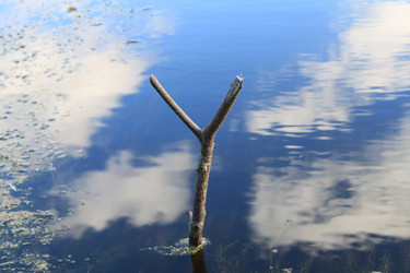 Similar image 311490