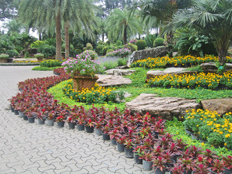 Similar image 311501