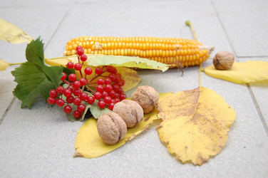 Similar image 311503