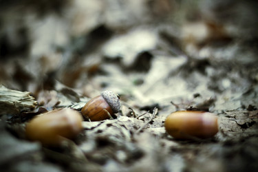 Similar image 311505