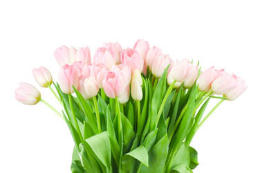 Similar image 311515