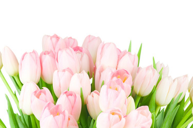 Similar image 311516