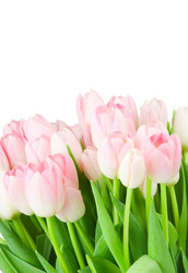 Similar image 311517