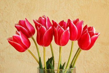 Similar image 311518