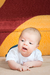 Similar image 311522