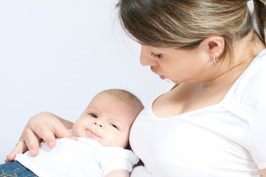 Similar image 311529