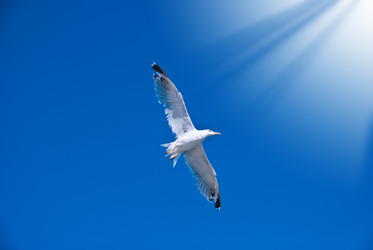 Similar image 311547