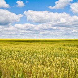 Similar image 311553