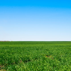 Similar image 311554