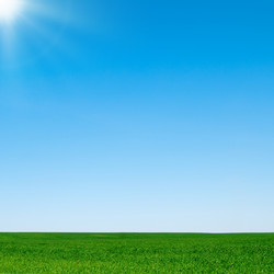 Similar image 311555