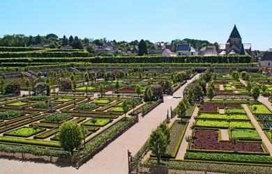 Similar image 311557