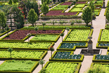 Similar image 311558