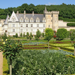 Similar image 311561