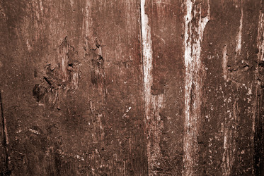 Similar image 311565