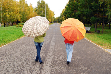 Similar image 311582