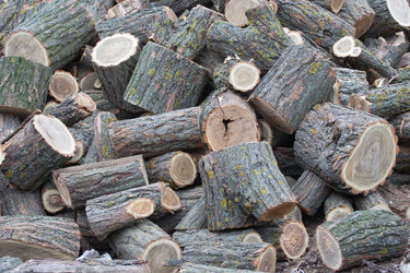 Similar image 311679