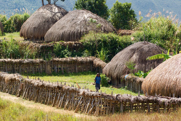 Similar image 311695