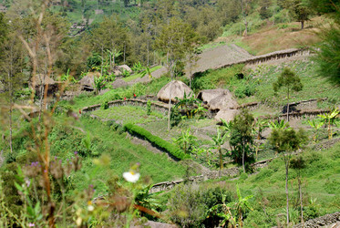 Similar image 311698