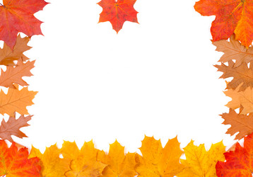 Similar image 311711