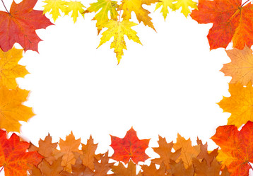 Similar image 311713