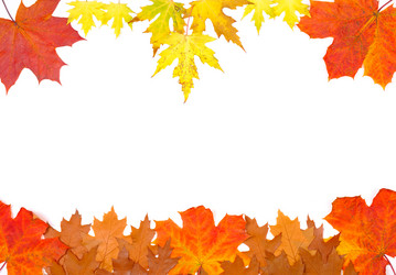 Similar image 311715