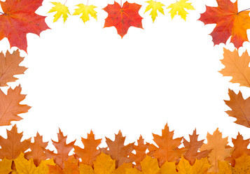 Similar image 311718