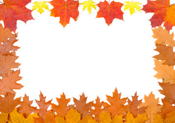 Similar image 311720