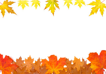 Similar image 311723