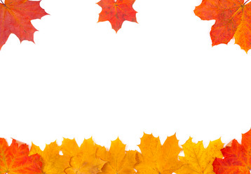 Similar image 311724