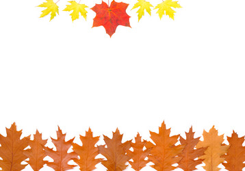 Similar image 311725