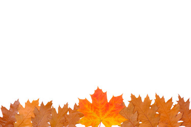 Similar image 311729