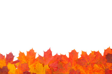 Similar image 311730