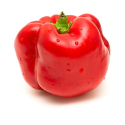 Similar image 311736