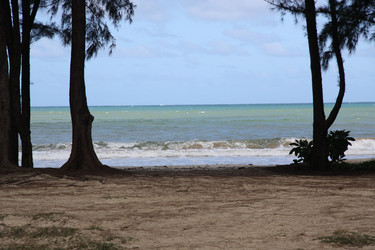 Similar image 311740