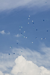 Similar image 311762