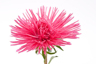 Similar image 311768